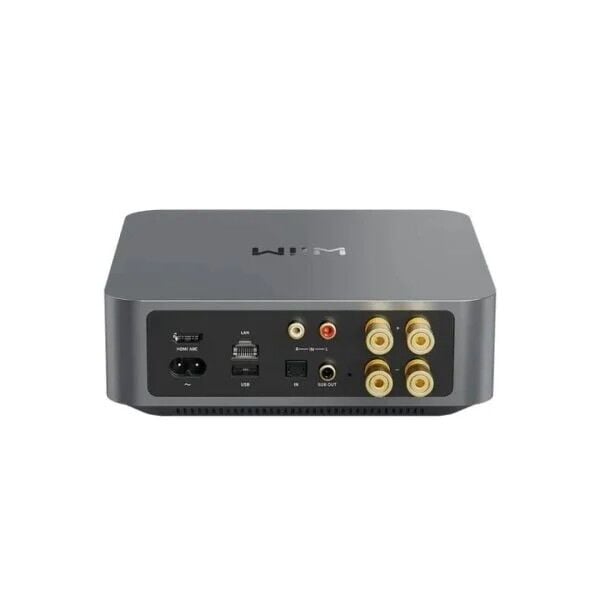 Wiim Amp & Focal Theva N1 Network Müzik Sistemi