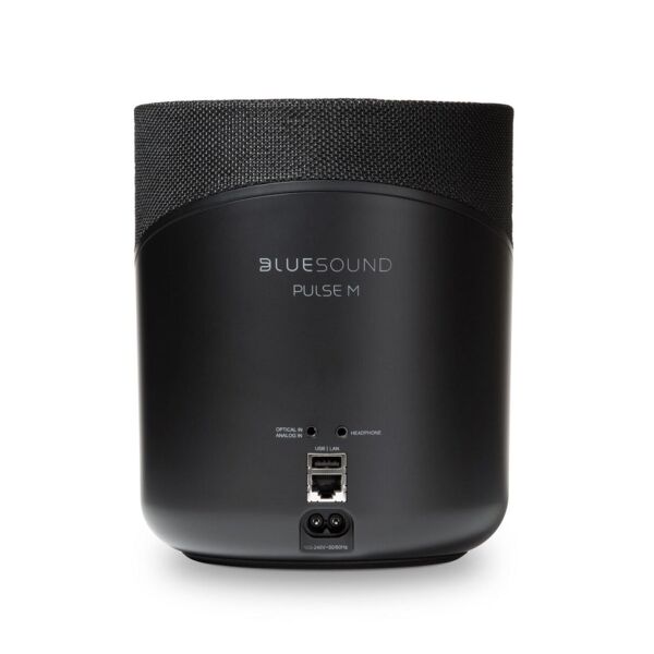 Bluesound Pulse M Taşınabilir Kablosuz Hoparlör