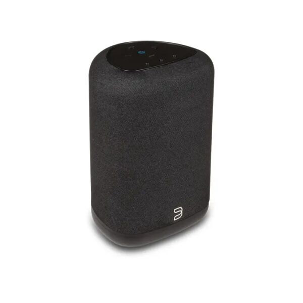 Bluesond Pulse Flex P130 Wireless All-In-One Music Streaming Speaker