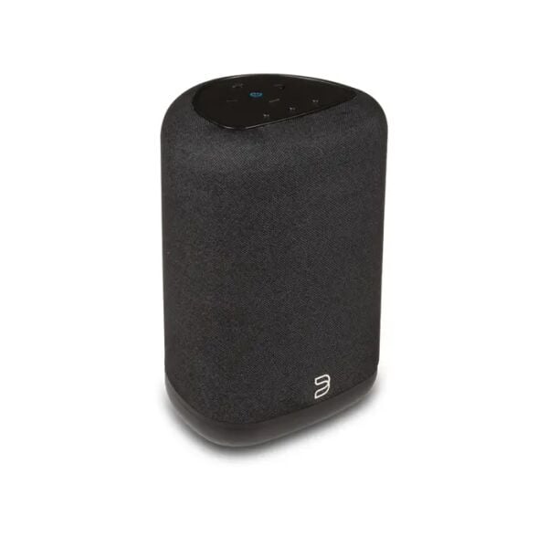 Bluesond Pulse Flex P130 Wireless All-In-One Music Streaming Speaker