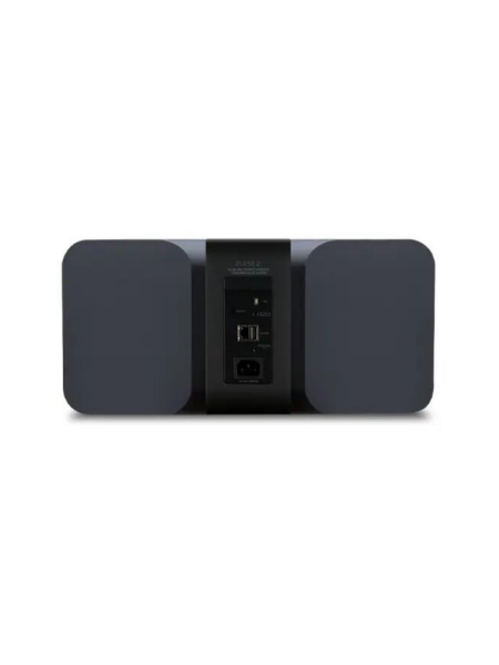 Bluesound Pulse 2i Premium Wireless Multi-Room Music Streaming Speaker