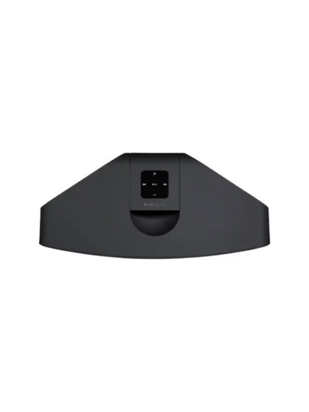 Bluesound Pulse 2i Premium Wireless Multi-Room Music Streaming Speaker