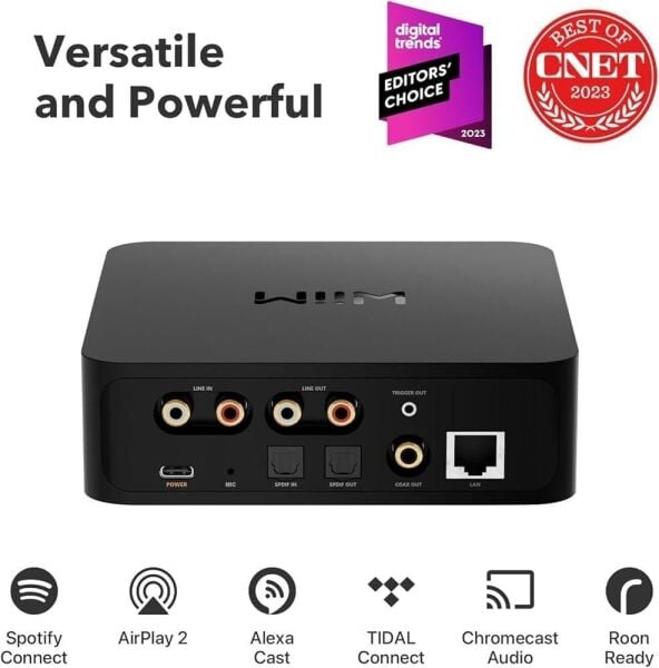 Wiim Pro High-Res Audio Streamer
