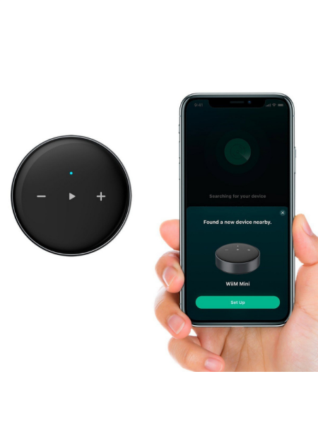 Wiim Mini High-Res Audio Streamer