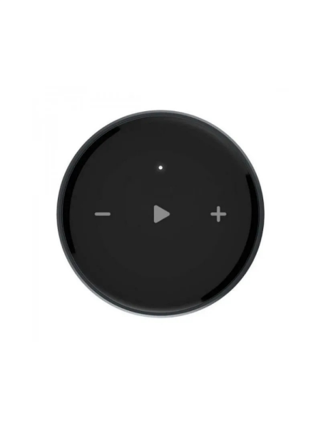 Wiim Mini High-Res Audio Streamer