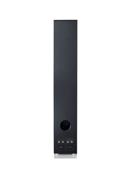 Canton GLE 90 AR Dolby Atmos Özellikli Kule Tipi Hoparlör Çift Siyah