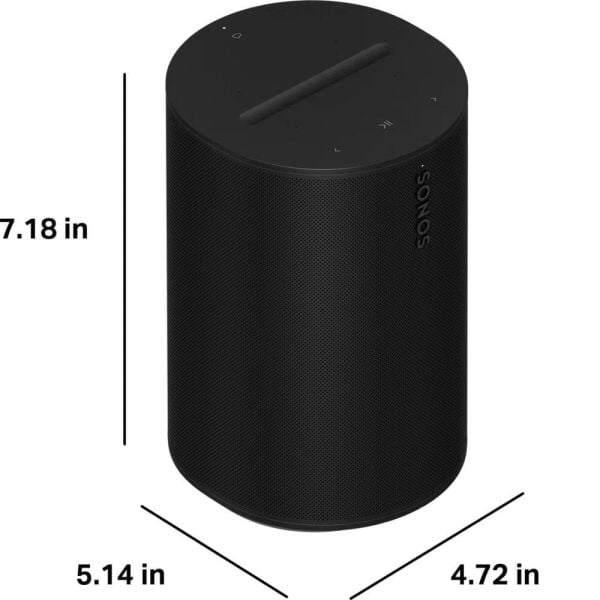 Sonos Era 100 Kablosuz Hoparlör