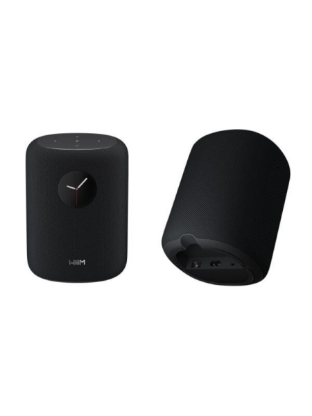 Wiim Sound Network Akıllı Hoparlör